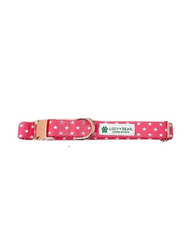 Lucy & Bear Collars