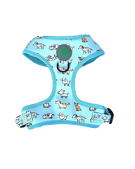Lucy & Bear Harnesses
