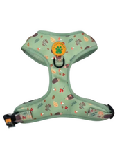 Lucy & Bear Harnesses