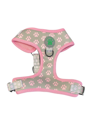 Lucy & Bear Harnesses