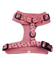 Lucy & Bear Harnesses