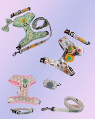 Lucy & Bear Bows