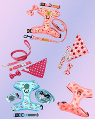 Lucy & Bear Bows