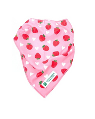 Lucy & Bear Bandanas