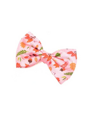 Lucy & Bear Bows