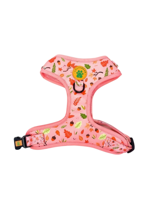Lucy & Bear Harnesses