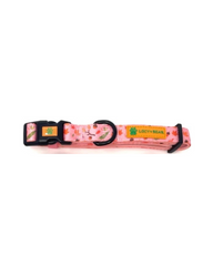 Lucy & Bear Collars