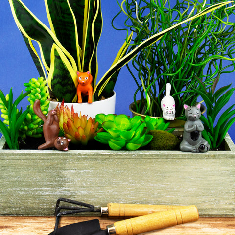 Mini Plant Pot Yoga Cats