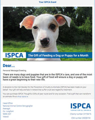 Feed a Dog or a Puppy for a Month