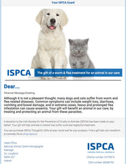 Worm & Flea Treatment for Dogs & Cats